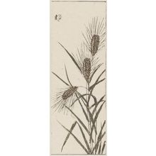 Katsushika Hokusai: Mugi (Wheat stalks); from Hokusai Gwaen Vol. 3, sheet 