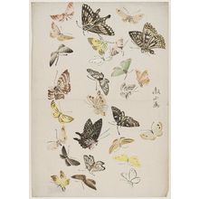 Mori Tessanによる浮世絵「Butterflies」