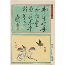Miyagi Gengyo: Kinsei shoga tekagami - Museum of Fine Arts