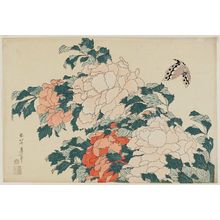 Katsushika Hokusai: Peonies and Butterfly, from an untitled series known as Large Flowers - Museum of Fine Arts