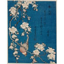 葛飾北斎: Bullfinch and Weeping Cherry (Uso, shidarezakura), from an untitled series known as Small Flowers - ボストン美術館