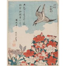 葛飾北斎: Cuckoo and Azaleas (Hototogisu, satsuki), from an untitled series known as Small Flowers - ボストン美術館