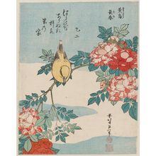 Katsushika Hokusai: Warbler and Roses (Kôchô, bara), from an untitled series known as Small Flowers - Museum of Fine Arts