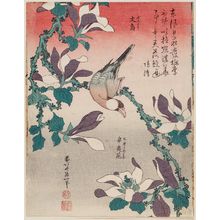 Katsushika Hokusai: Java Sparrow on Magnolia (Bunchô, kobushi no hana), from an untitled series known as Small Flowers - Museum of Fine Arts