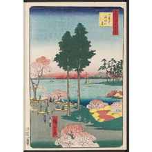 歌川広重: Suwa Bluff, Nippori (Nippori Suwanodai), from the series One Hundred Famous Views of Edo (Meisho Edo hyakkei) - ボストン美術館