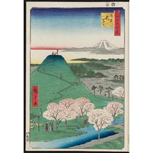 Utagawa Hiroshige: New Fuji, Meguro (Meguro Shin-Fuji), from the series One Hundred Famous Views of Edo (Meisho Edo hyakkei) - Museum of Fine Arts