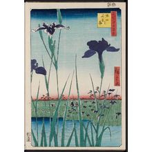 Utagawa Hiroshige: Horikiri Iris Garden (Horikiri no hanashôbu), from the series One Hundred Famous Views of Edo (Meisho Edo hyakkei) - Museum of Fine Arts