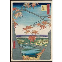 歌川広重: Maple Trees at Mama, Tekona Shrine and Linked Bridge (Mama no momiji Tekona no yashiro Tsugihashi), from the series One Hundred Famous Views of Edo (Meisho Edo hyakkei) - ボストン美術館