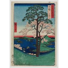 Utagawa Hiroshige: IInaba Province: Karo, Koyama (Inaba, Karo, Koyama), from the series Famous Places in the Sixty-odd Provinces [of Japan] ([Dai Nihon] Rokujûyoshû meisho zue) - Museum of Fine Arts