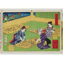 Toyohara Chikanobu: Album of Ten Prints Illustrating Sericulture: Separating Cocoons from Straw Housing - Museum of Fine Arts