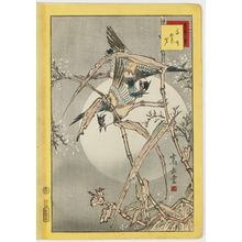 Nakayama Sûgakudô: No. 39, Plovers and Dry Reeds (Chidori kareashi), from the series Forty-eight Hawks Drawn from Life (Shô utsushi yonjû-hachi taka) - ボストン美術館
