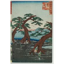 Utagawa Hiroshige II: Maiko Beach in Harima Province (Banshû Maiko no hama), from the series One Hundred Famous Views in the Various Provinces (Shokoku meisho hyakkei) - Museum of Fine Arts