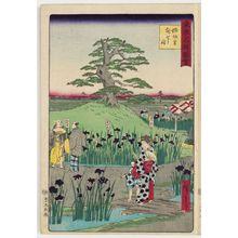 Utagawa Hiroshige III: Irises at Horikiri Village (Horikiri no sato hanashôbu), from the series Famous Places in Tokyo (Tôkyô meisho zue) - Museum of Fine Arts