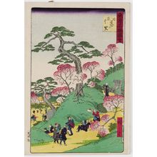 Utagawa Hiroshige III: Cherry Blossoms in Full Bloom at Nippori (Sakari-chû Nippo no sato), from the series Famous Places in Tokyo (Tôkyô meisho zue) - Museum of Fine Arts
