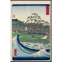 Utagawa Hiroshige II: Odawara, from the series Scenes of Famous Places along the Tôkaidô Road (Tôkaidô meisho fûkei), also known as the Processional Tôkaidô (Gyôretsu Tôkaidô), here called Tôkaidô - Museum of Fine Arts