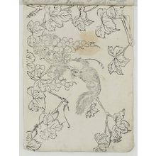Unknown, 無款 (Artist Unknown, Japanese)による浮世絵「Squirrels and Grapes」