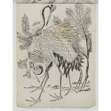 Unknown: Cranes and Pine Shoots - Museum of Fine Arts