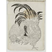 Unknown: Rooster and Hen - Museum of Fine Arts