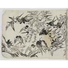 Unknown: Swallows in Bamboo - Museum of Fine Arts