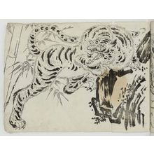 Unknown: Tiger - Museum of Fine Arts