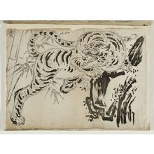 Unknown: Tiger - Museum of Fine Arts