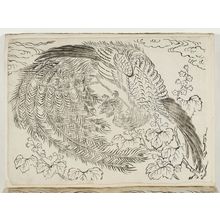 Unknown, 無款 (Artist Unknown, Japanese)による浮世絵「Phoenix and Paulownia」