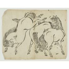 Unknown: Horses - Museum of Fine Arts