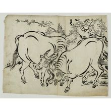 Unknown: Oxen - Museum of Fine Arts