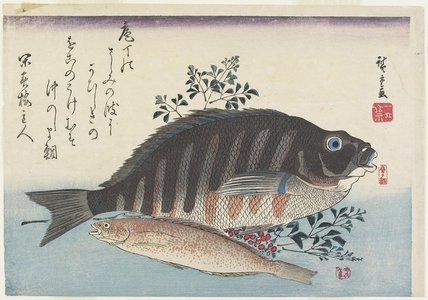 Utagawa Hiroshige: Sea Bream, Sweetfish and Nandina Branches - Minneapolis Institute of Arts 