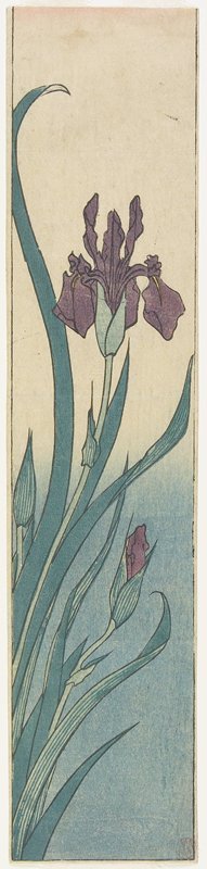 Utagawa Hiroshige: Iris - Minneapolis Institute of Arts 