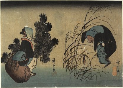 Utagawa Hiroshige: Woman and Badger - Minneapolis Institute of Arts 
