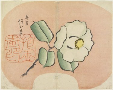 Yamada Ho_gyoku: (White Camellia) - ミネアポリス美術館