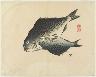 Yamada Ho_gyoku: (Pair of Fish) - ミネアポリス美術館