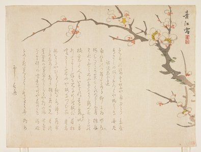 Seiko: (Flowering plum) - Minneapolis Institute of Arts 