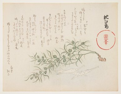 Chinko_sai: (Small white fish and water-weed) - ミネアポリス美術館