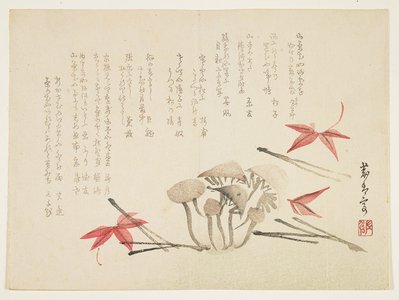 Unknown: (Mushrooms, maple leaves and pine needles) - Minneapolis Institute of Arts 