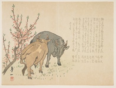 Yoshimura Ko_iitsu: (Oxen) - ミネアポリス美術館