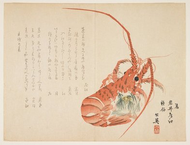 Ko_ei: (Lobster and common hepatica) - Minneapolis Institute of Arts 