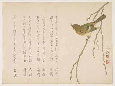 Bunki: (Nightingale on a willow branch) - Minneapolis Institute of Arts 