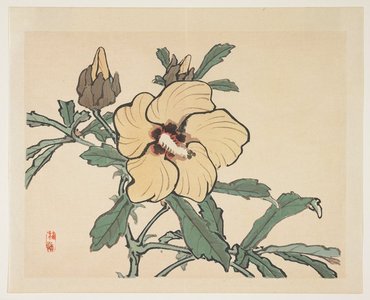 Kono Bairei: Flowering Hollyhock - Minneapolis Institute of Arts 