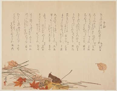 Matsumura Keibun: Autumn Leaves and Pine Needles - Minneapolis Institute of Arts 