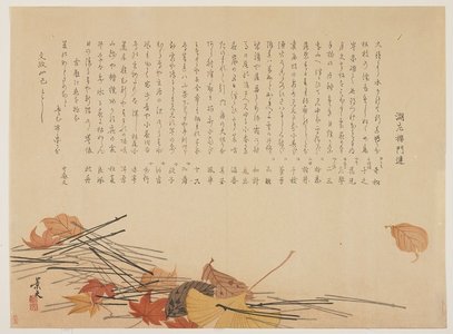 松村景文: (Dead leaves and pine needles) - ミネアポリス美術館