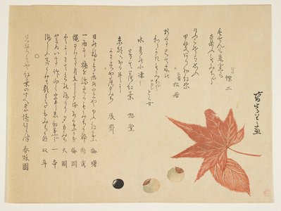 Ko_ Su_koku II: (Autumn leaves and nuts) - Minneapolis Institute of Arts 