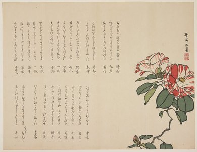 Hyakujo_: (Flowing camellia) - Minneapolis Institute of Arts 