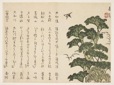 Murata Kagen: (Big tree and birds) - ミネアポリス美術館