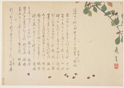 Murata Kagen: (Oak branch and acorns) - ミネアポリス美術館