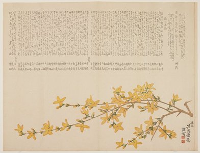 Kido_ Kageyasu: Japanese Yellow Rose (Yamabuki) - Minneapolis Institute of Arts 