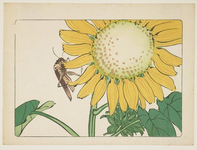 Shibata Zeshin: (Grasshopper and sunflower) - Minneapolis Institute of Arts 