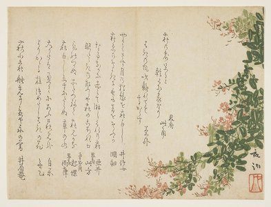 Yano Yacho_: (Flowering bush clover) - Minneapolis Institute of Arts 