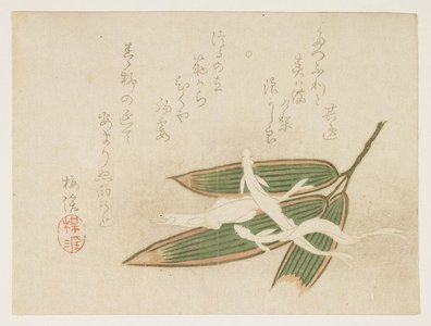 Ariwara Baikei: (Whitebait and bamboo leaves) - ミネアポリス美術館